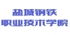盐城钢铁职业技术学院